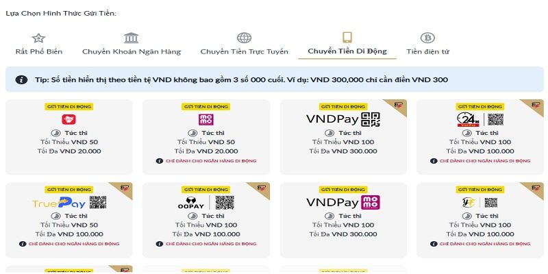 Lựa chọn hình thức ví điện tử