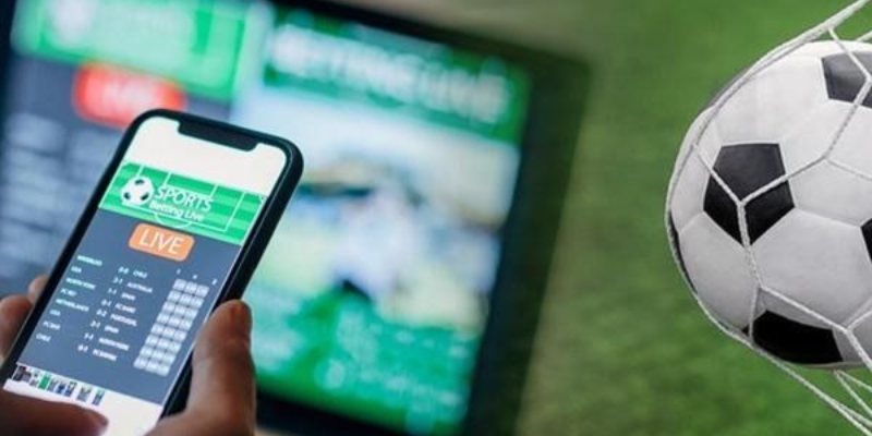 Tất tần tật về khái niệm cơ hội kép là gì