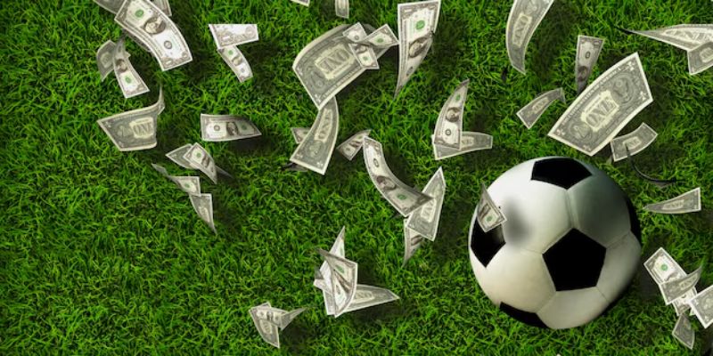 Luôn chú ý những thông tin mà chuyên gia cung cấp